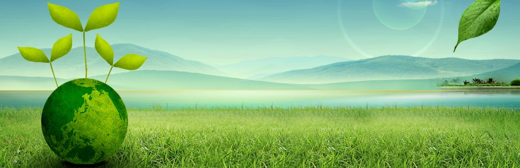 节能降碳，桑莱斯在行动！